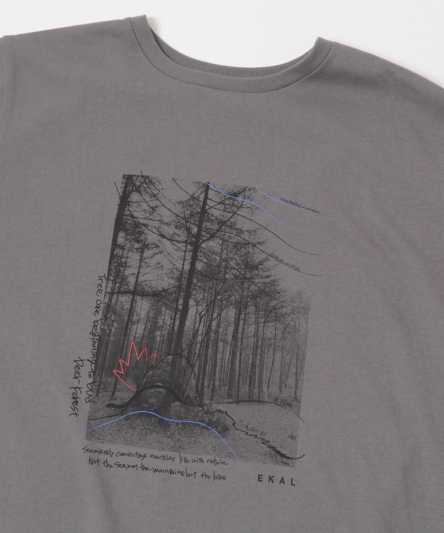 フォトプリントショートスリーブTシャツ グレー One