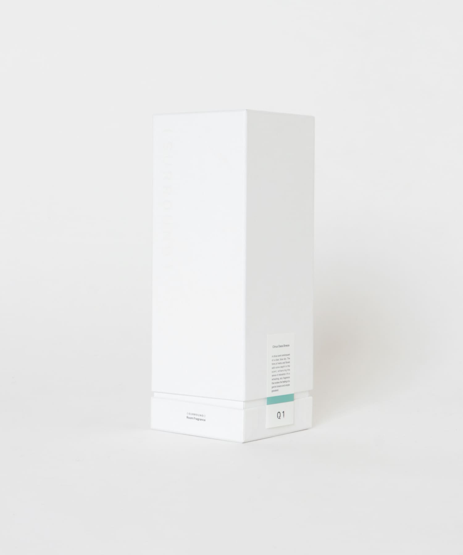 (SURROUND)　RS Q1-CITRUS CITRUS One