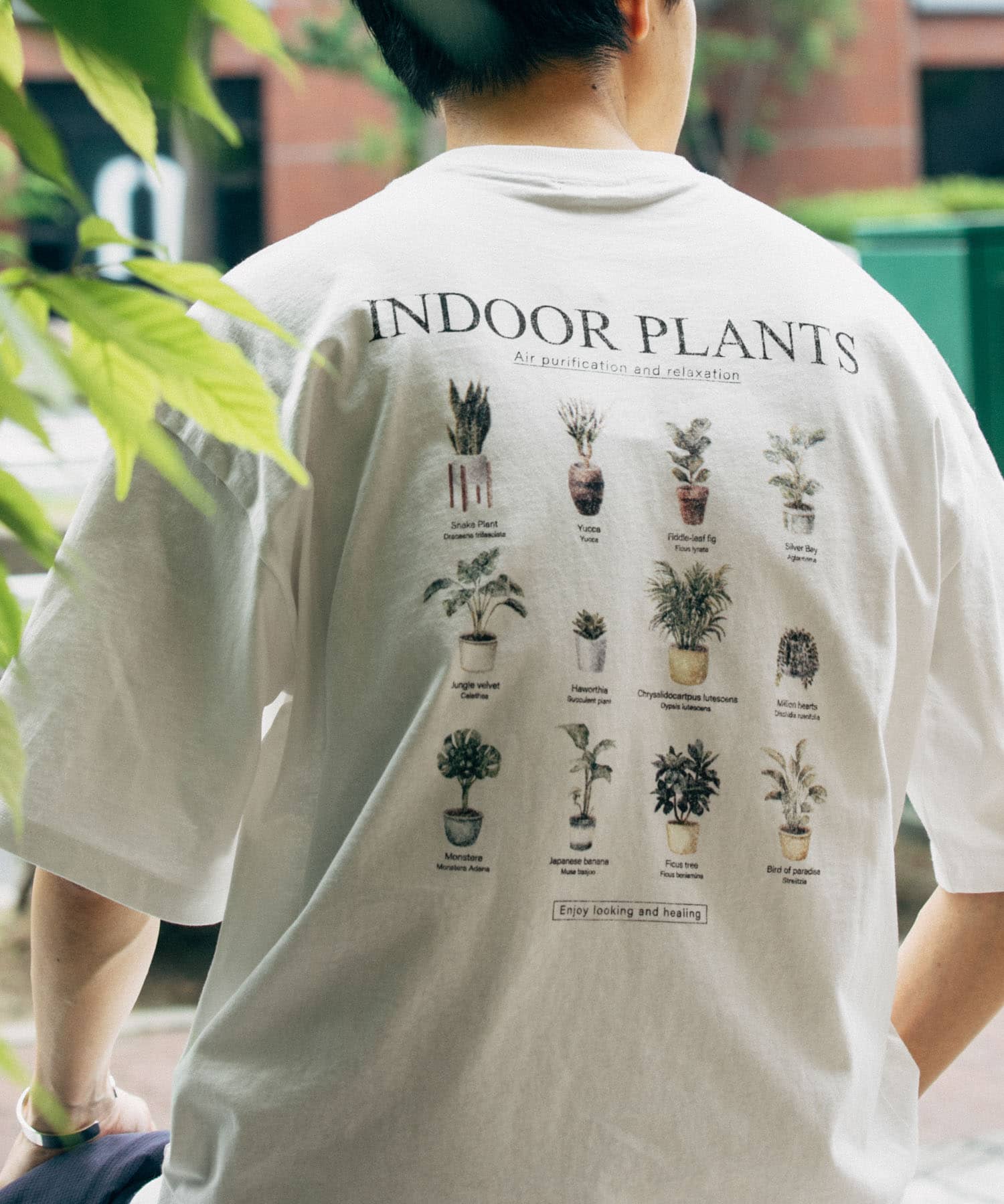 Plantsバックプリント USEDライク Tシャツ