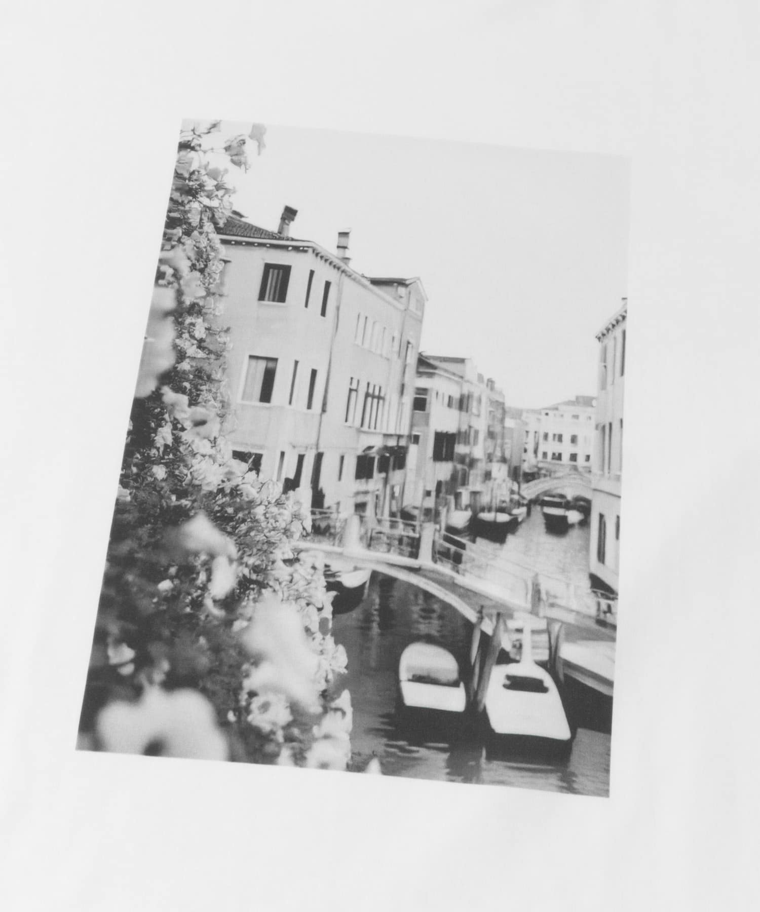 接触冷感クルーネックフォトプリントTシャツ WHITE B M