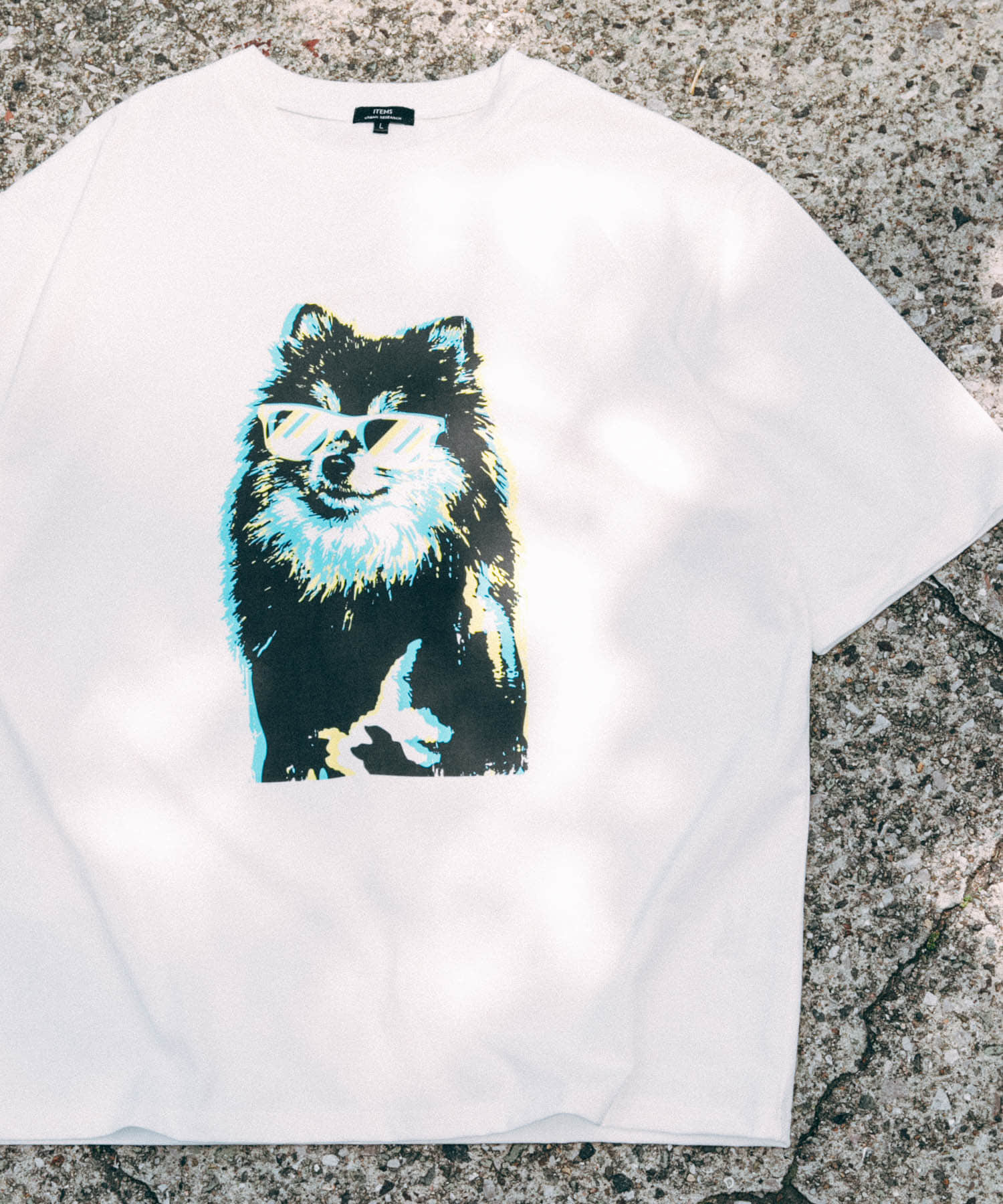 POMERANIAN