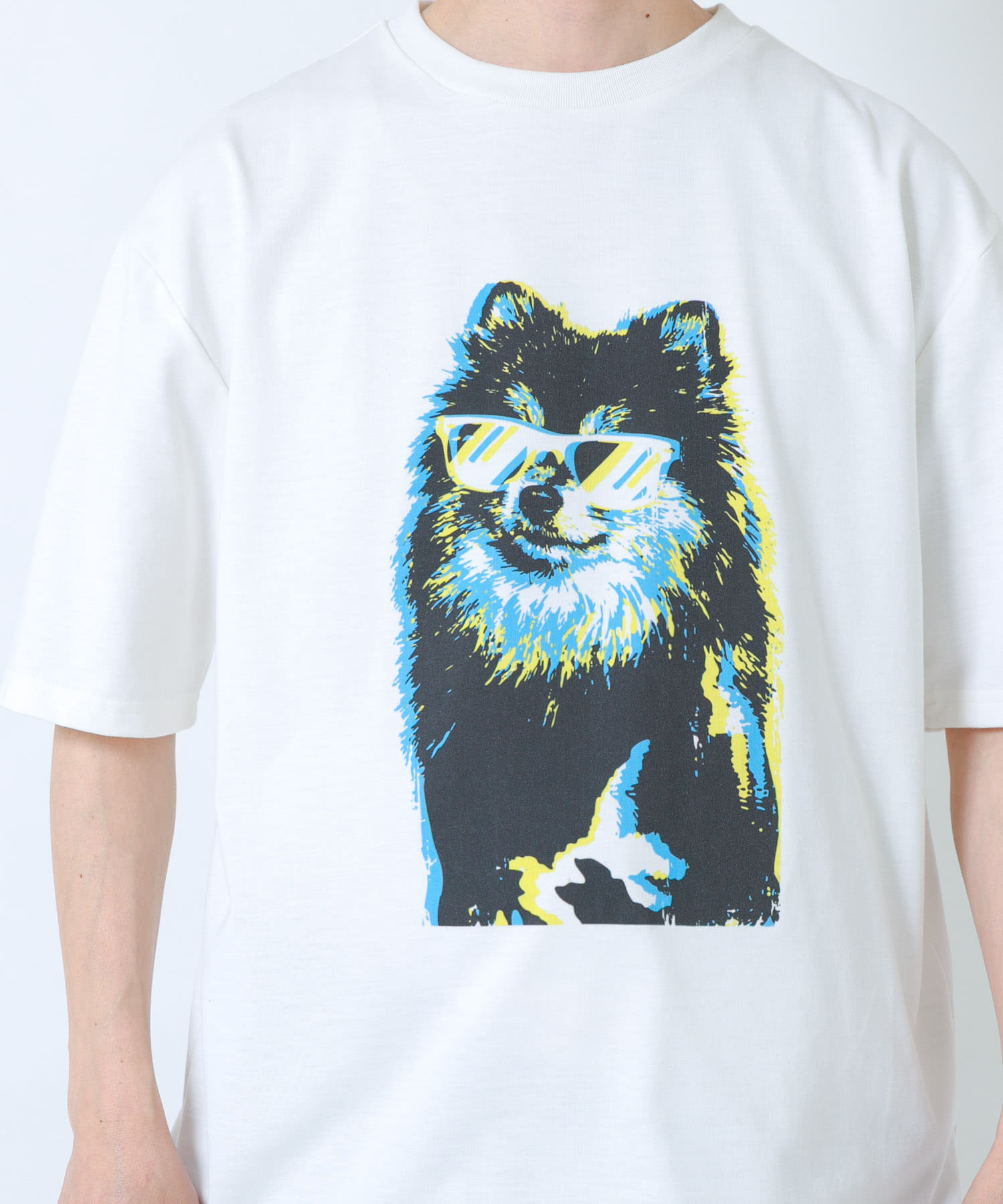 POMERANIAN