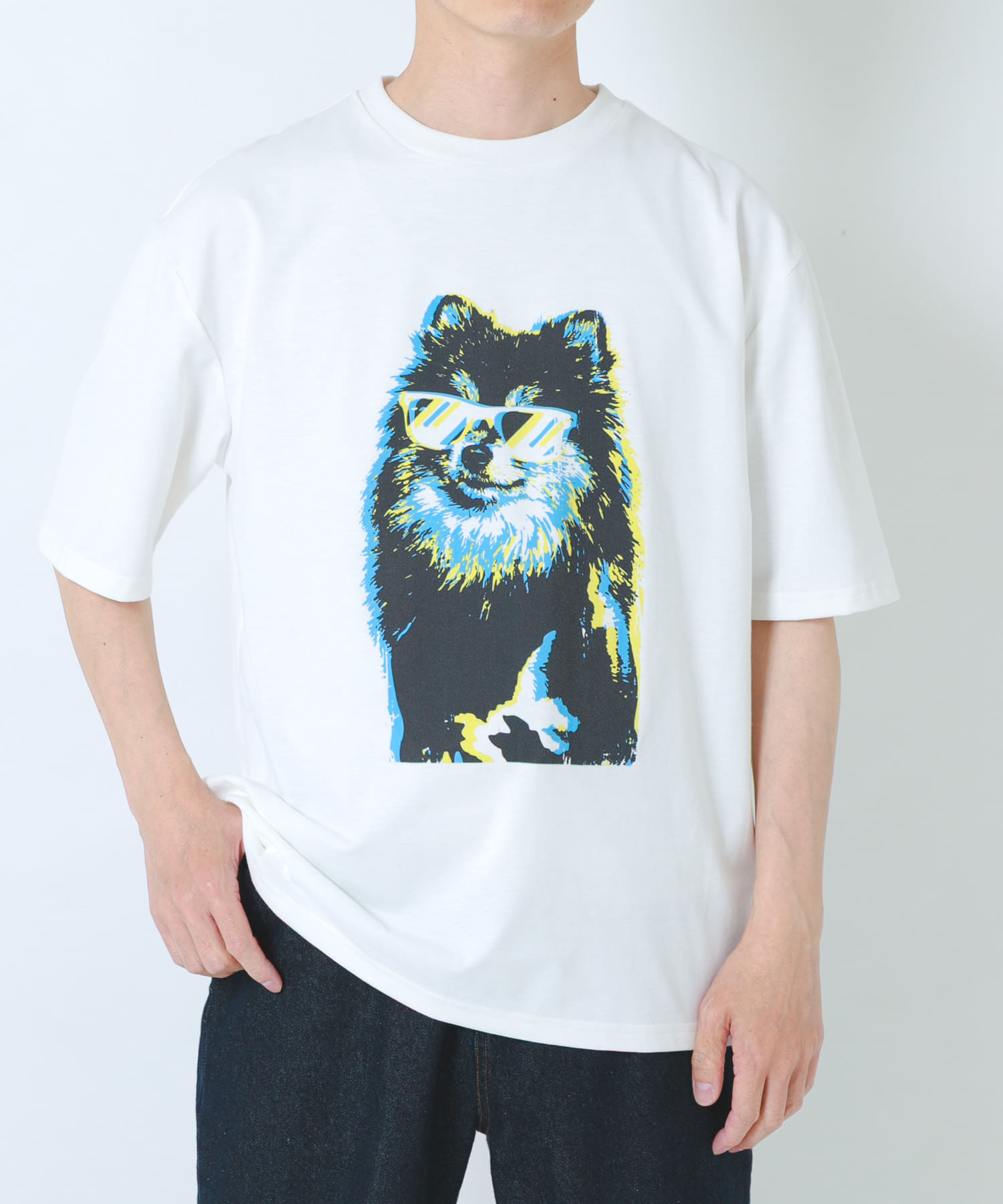 POMERANIAN