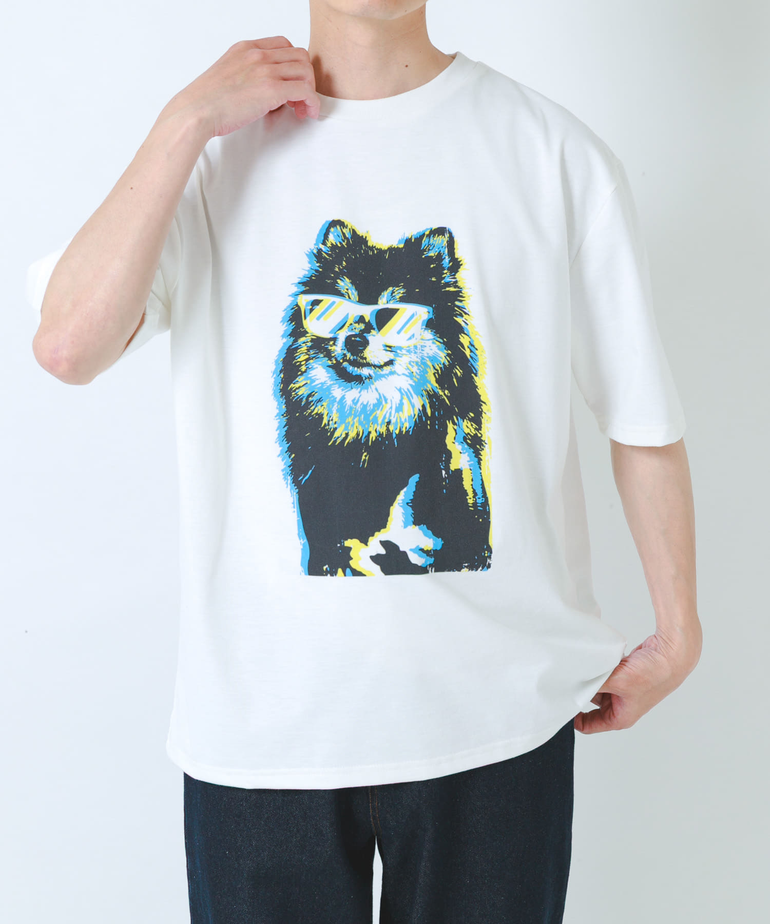 POMERANIAN