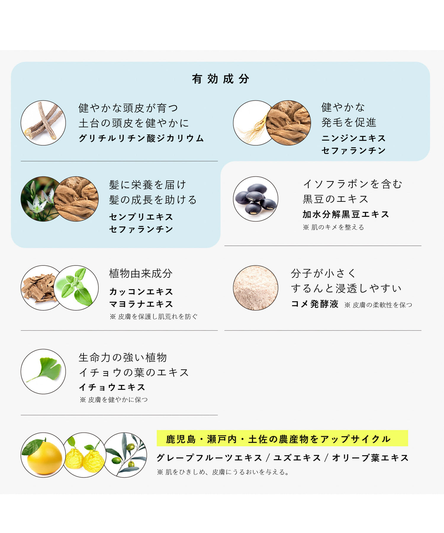 hinna　薬用ウーマンスカルプセラム ー 0