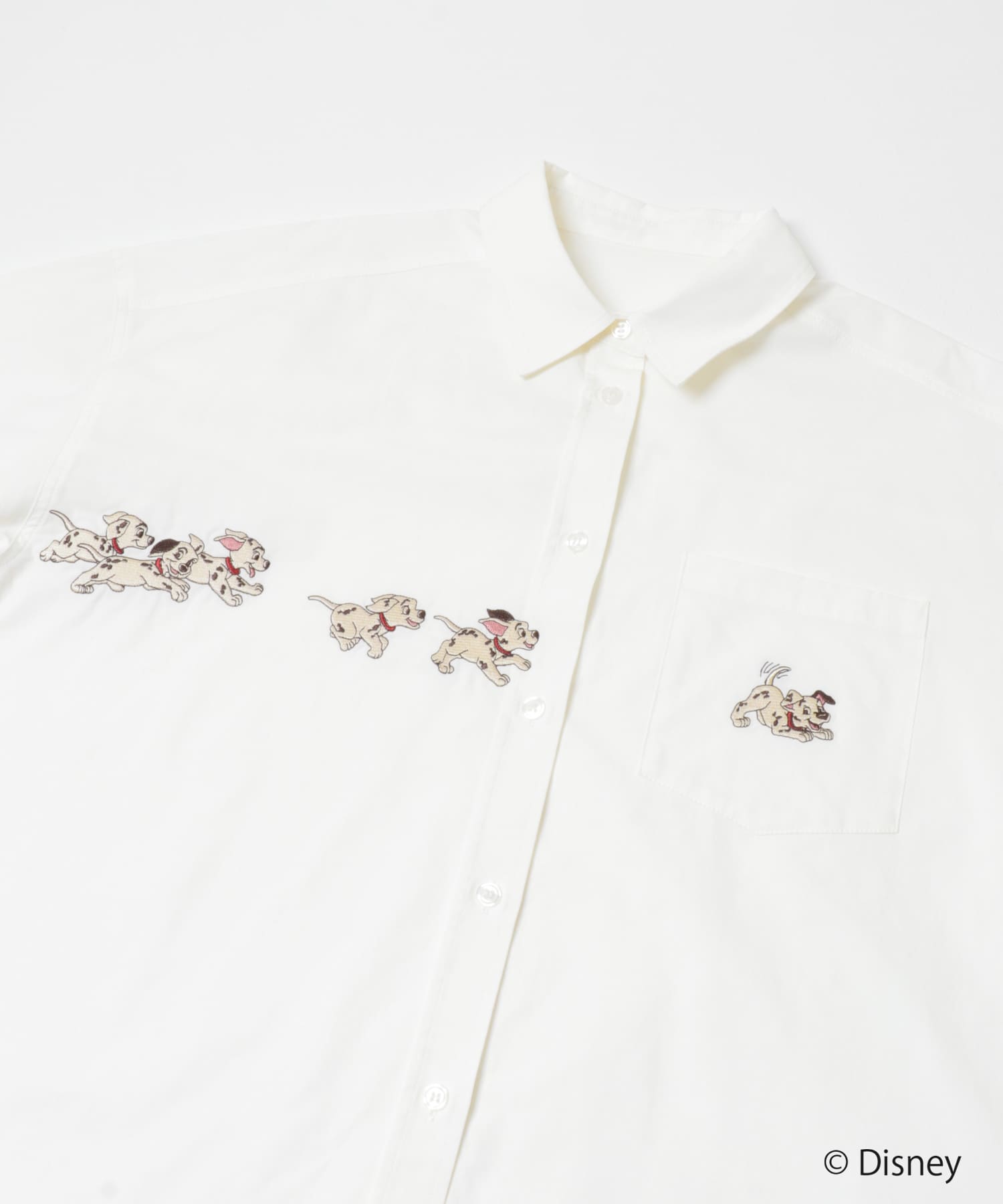 101匹ワンチャン