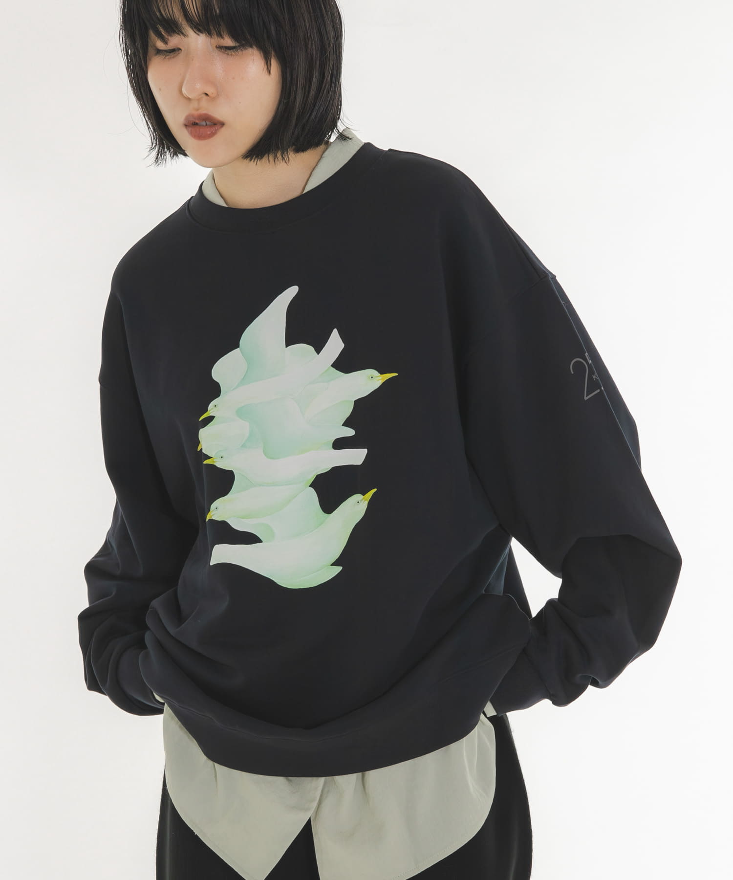 D.NAVY