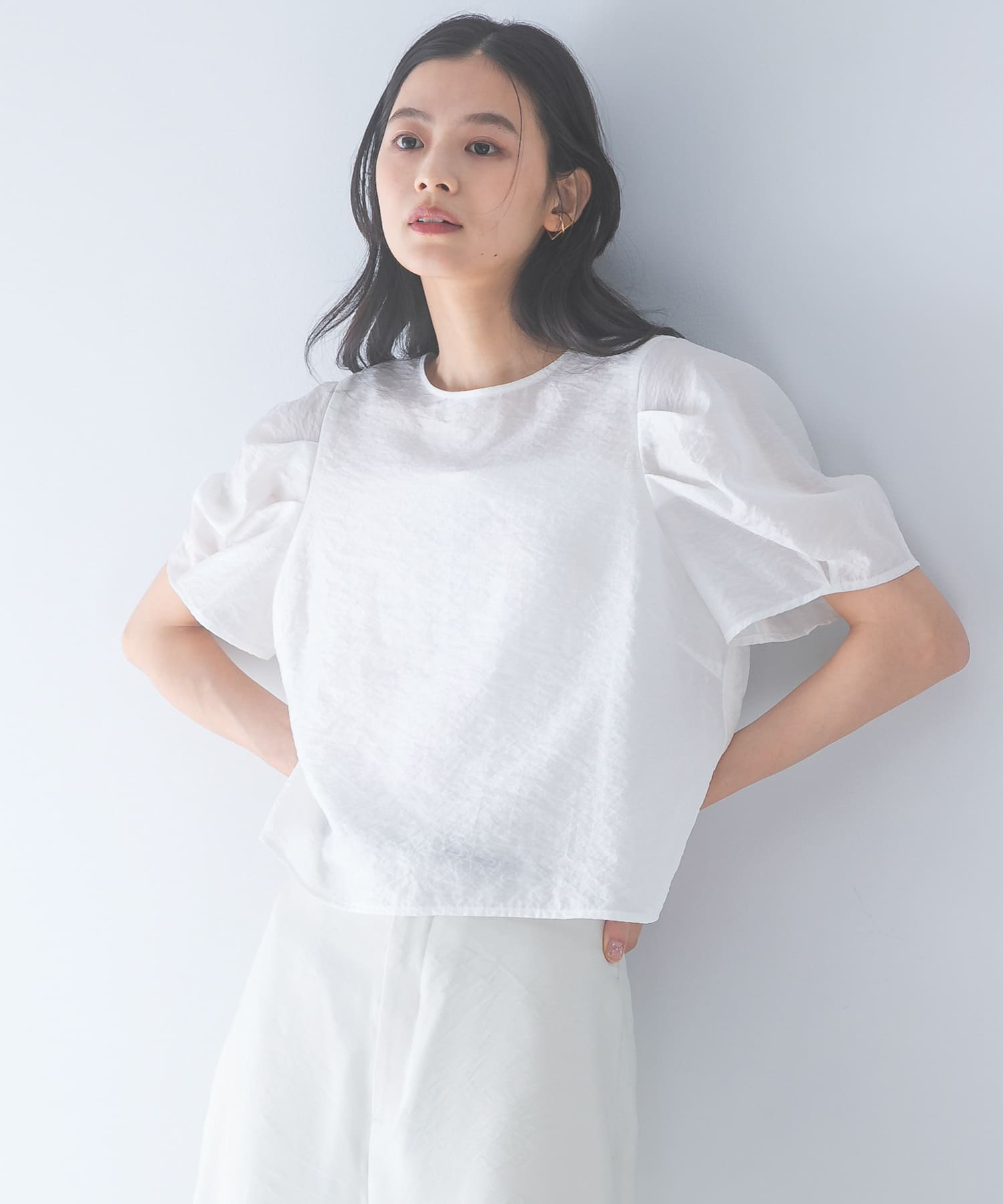 『WEB限定』フォルムスリーブシアーブラウス