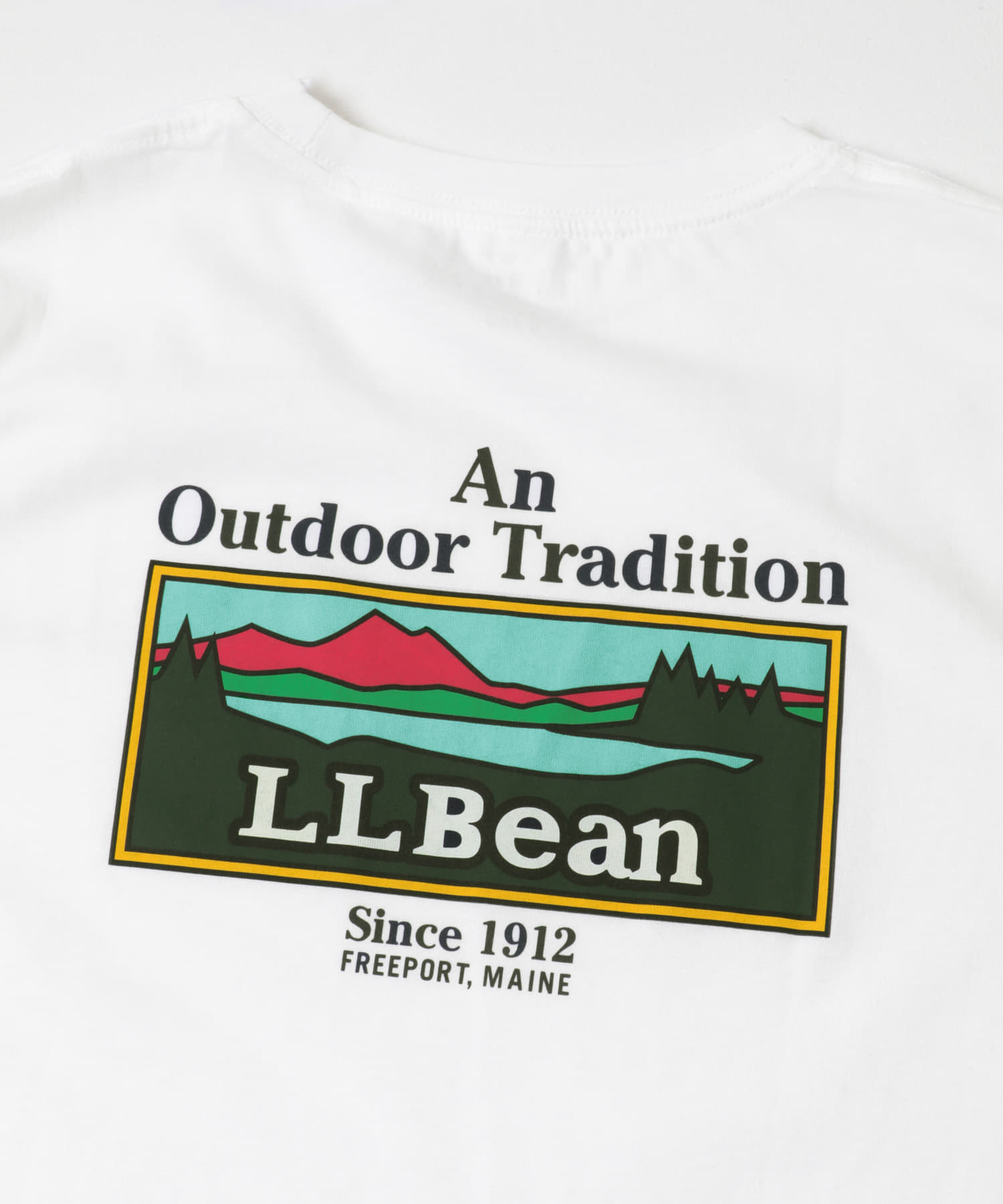 L.L.Bean　UNSHRINKABLE GRAPHIC T-SHIRTS WHITE O L