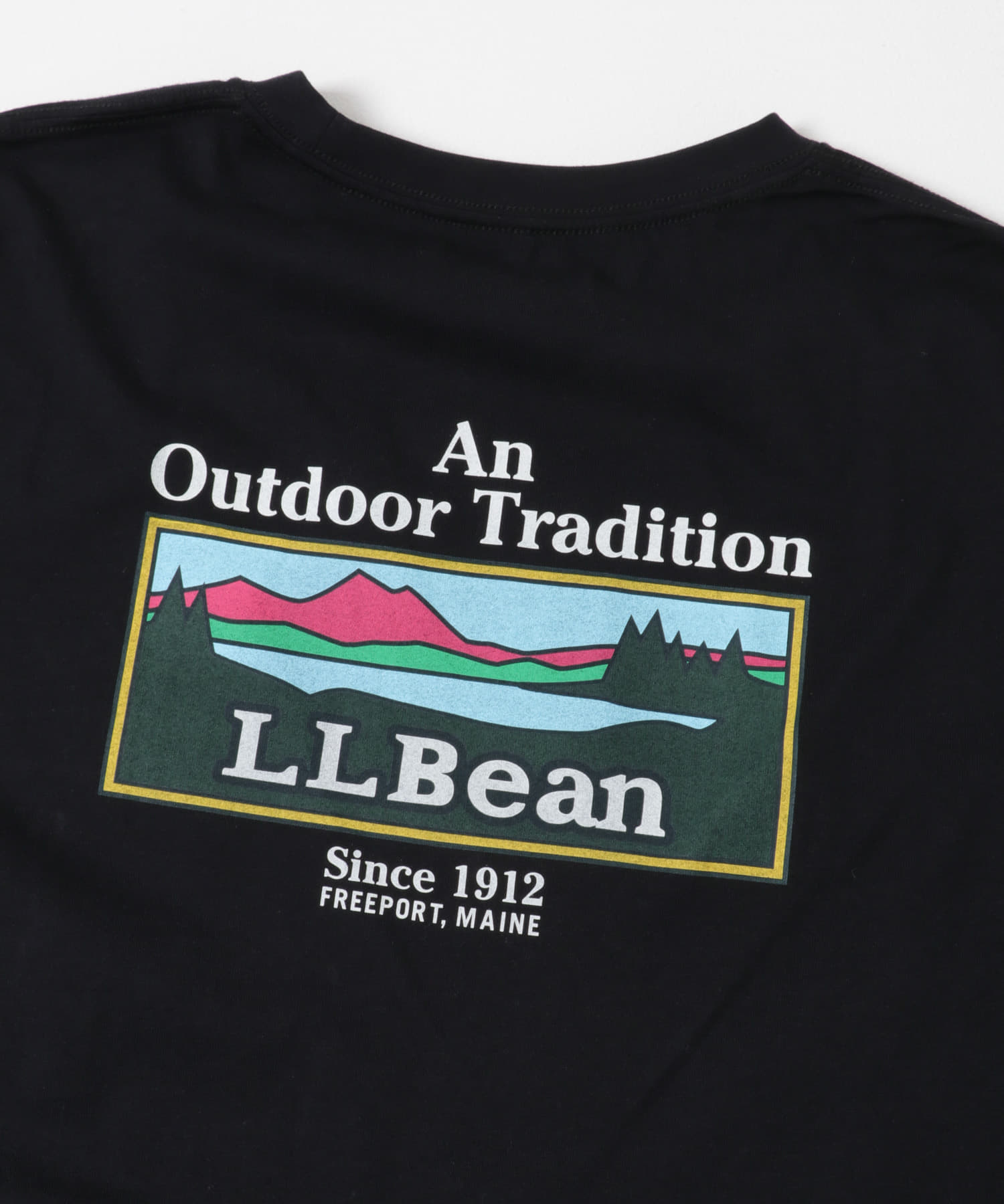 L.L.Bean　UNSHRINKABLE GRAPHIC T-SHIRTS BLACK O L
