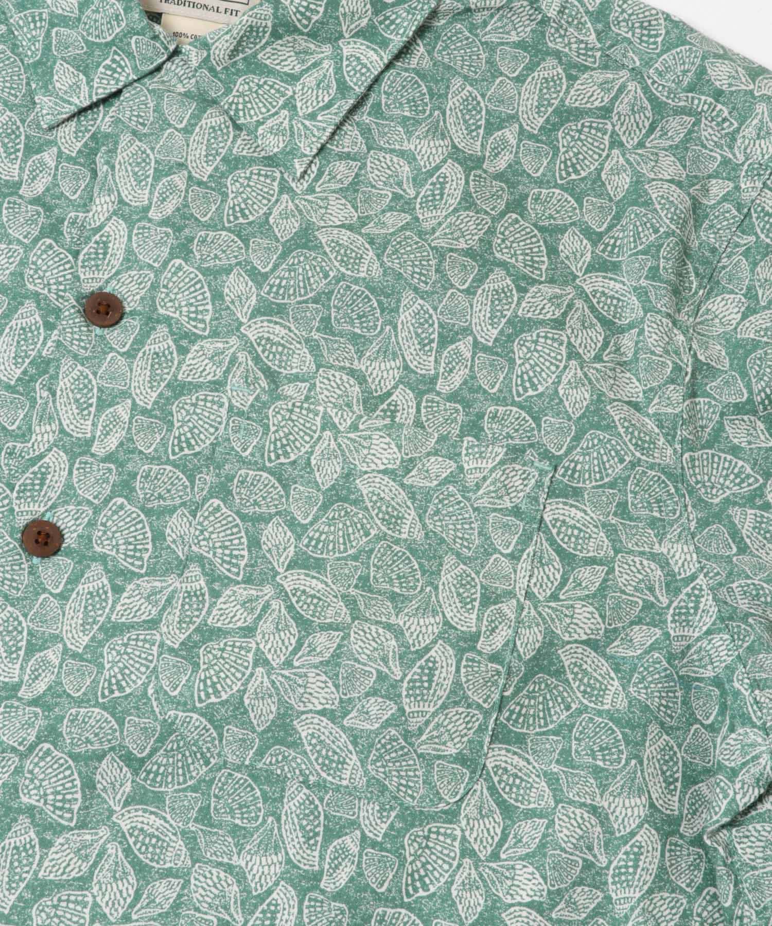 SEA SHELLS