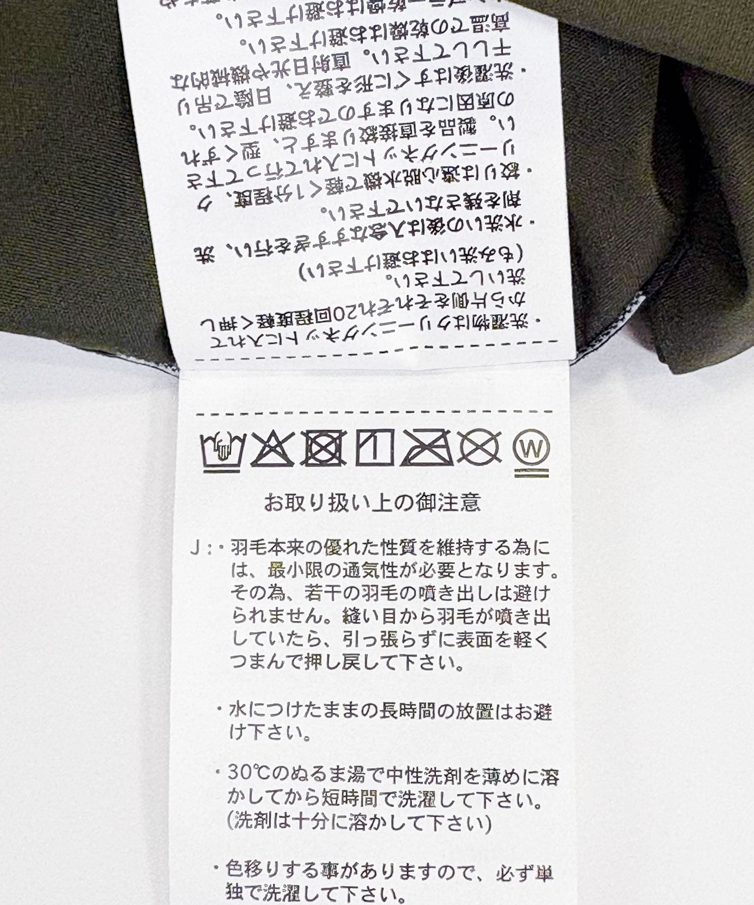 オリーブ