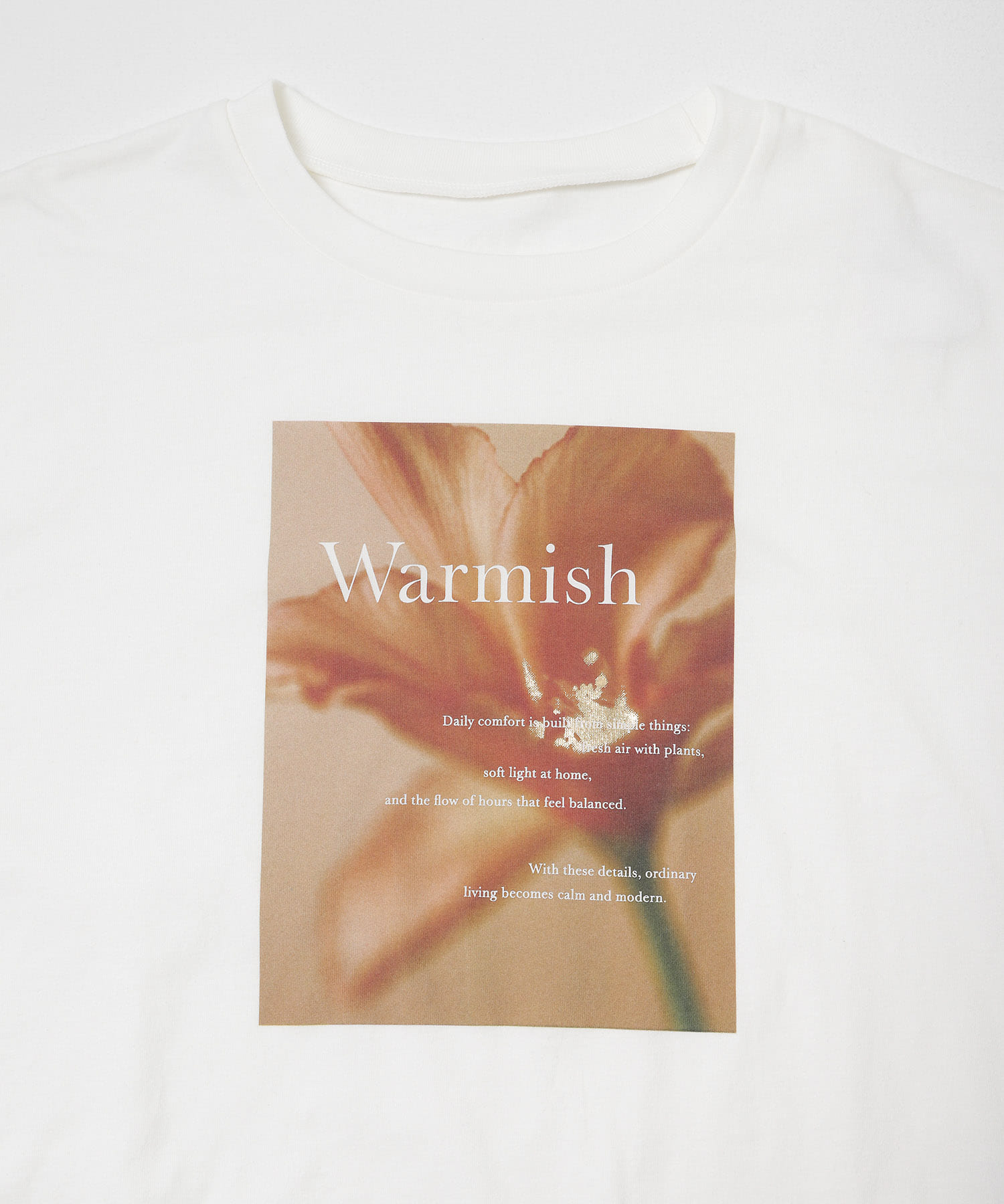 グラフィックTシャツ GRAPHIC-B One