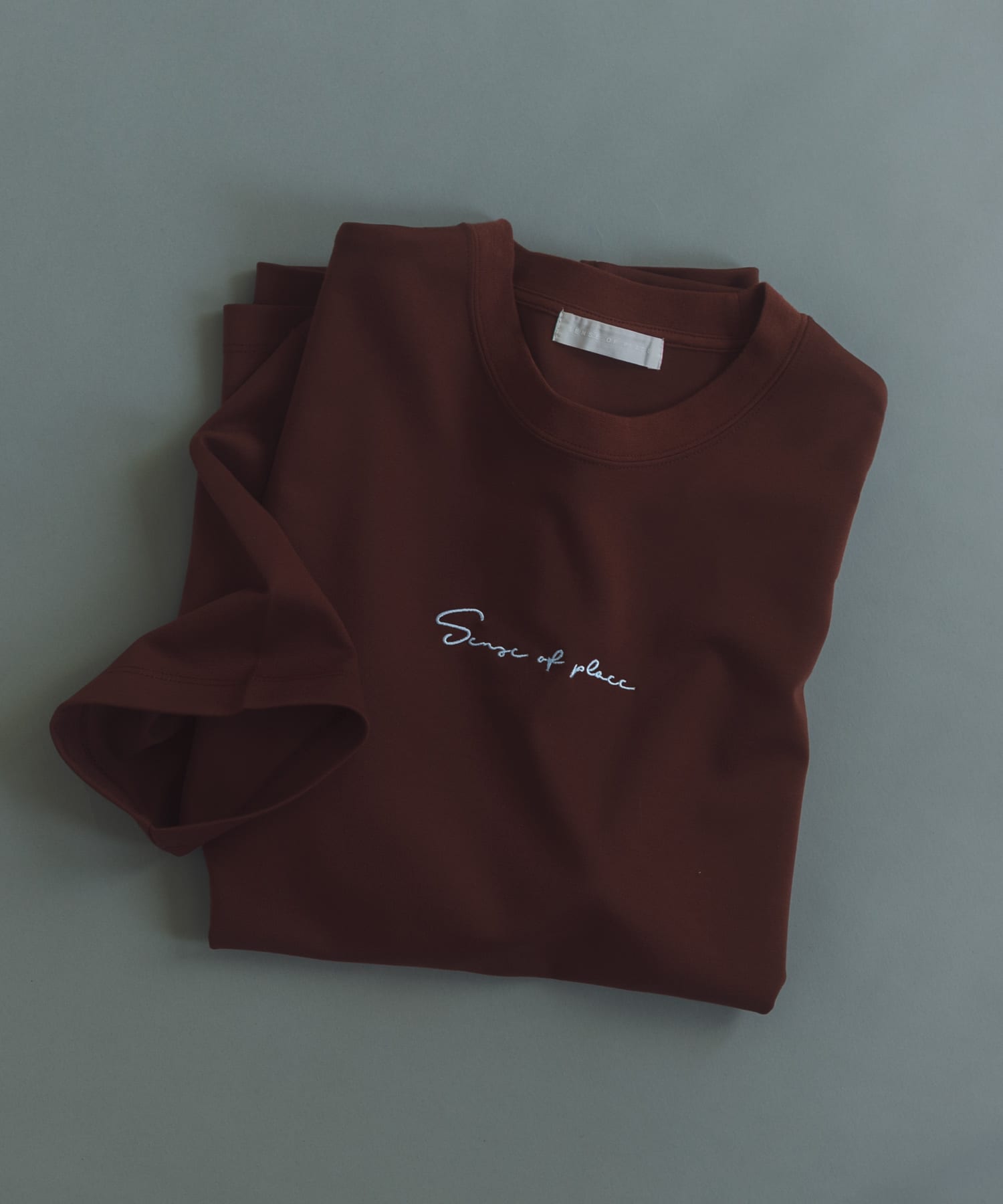 『一部WEB限定カラー』シシュウポンチショートスリーブTシャツ BRN×BLU M