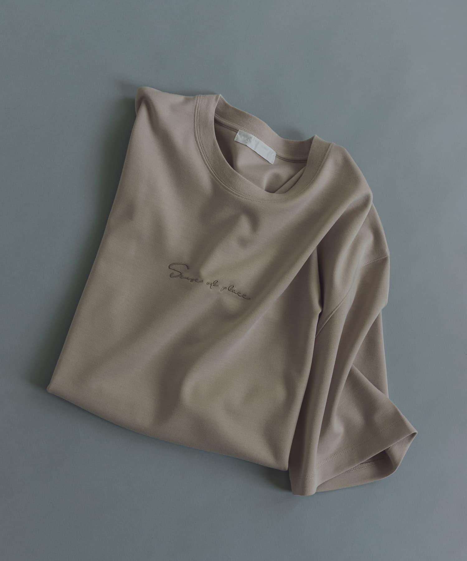 『一部WEB限定カラー』シシュウポンチショートスリーブTシャツ GRE×GRE M