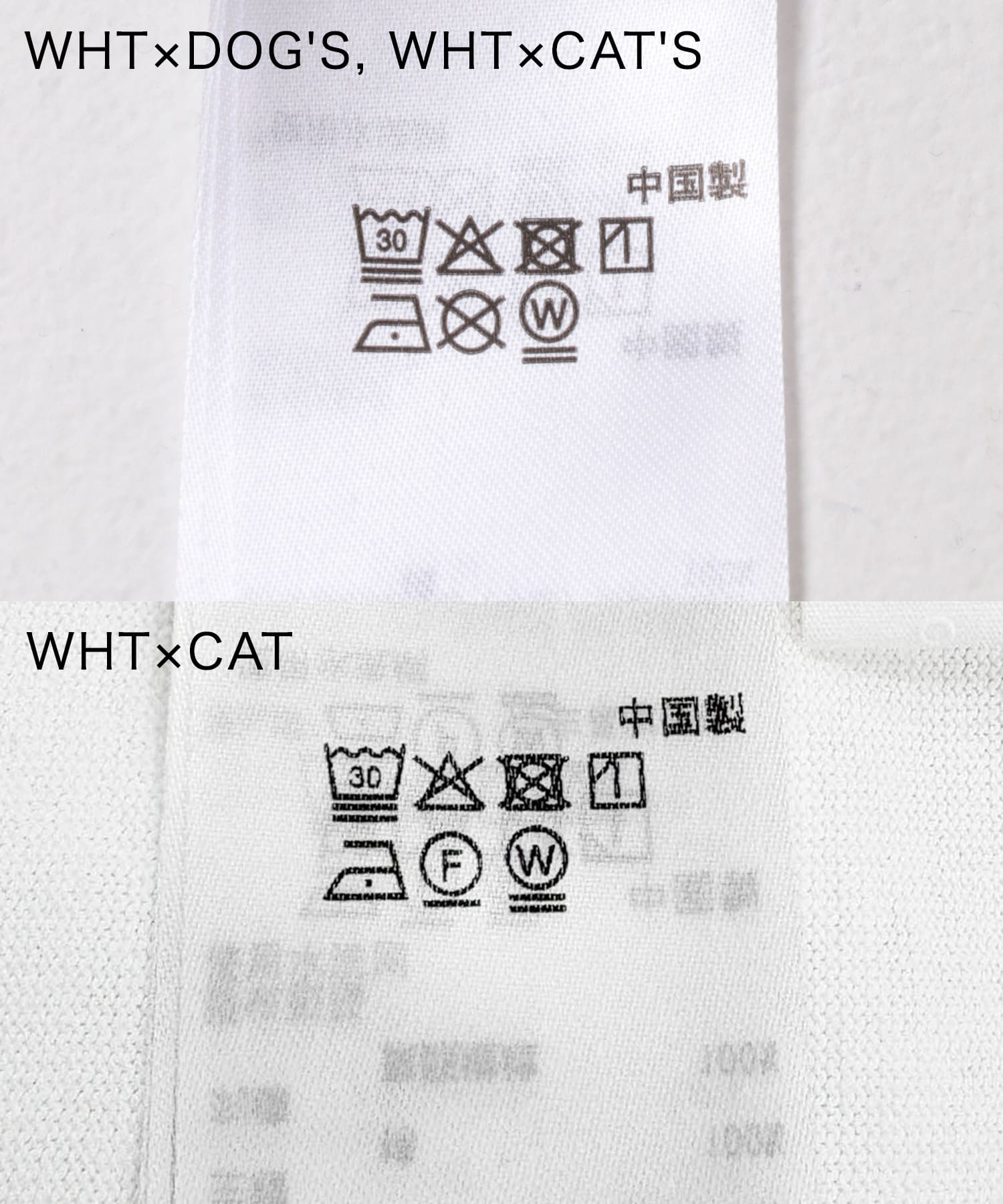 WHT×CAT'S