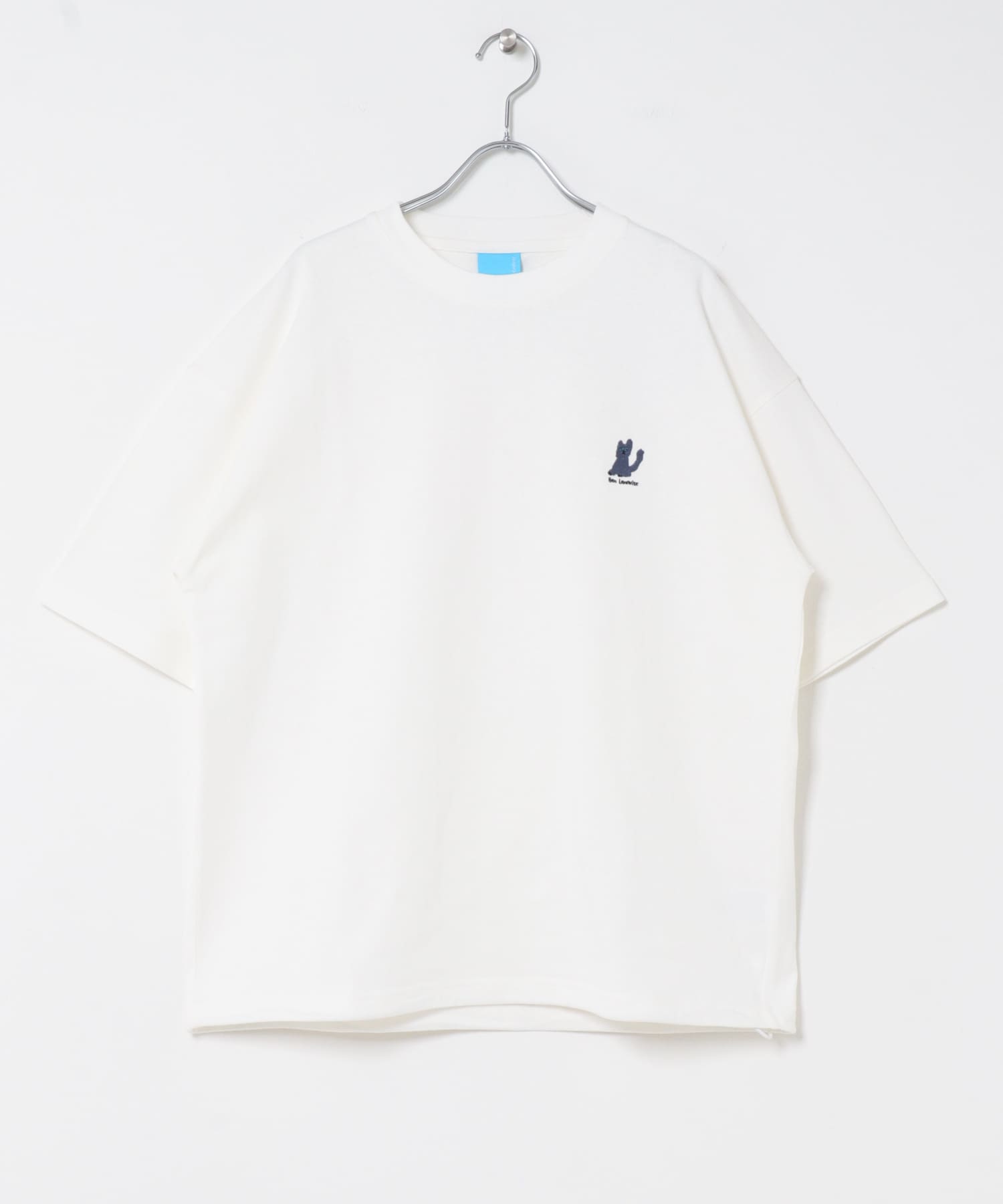 WHT×CAT