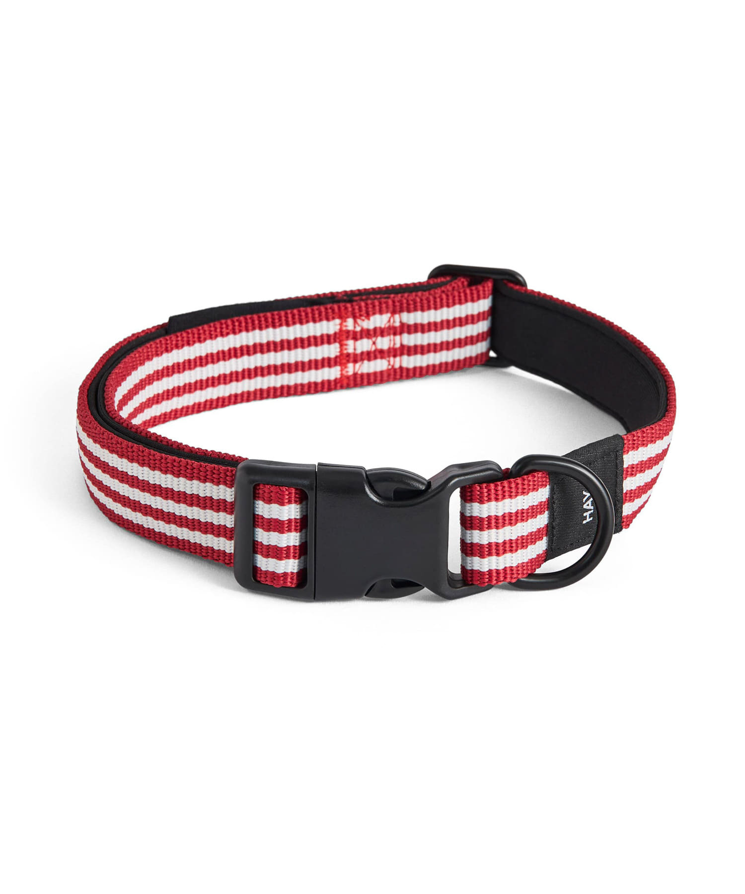 HAY　Dogs Collar Flat M/L