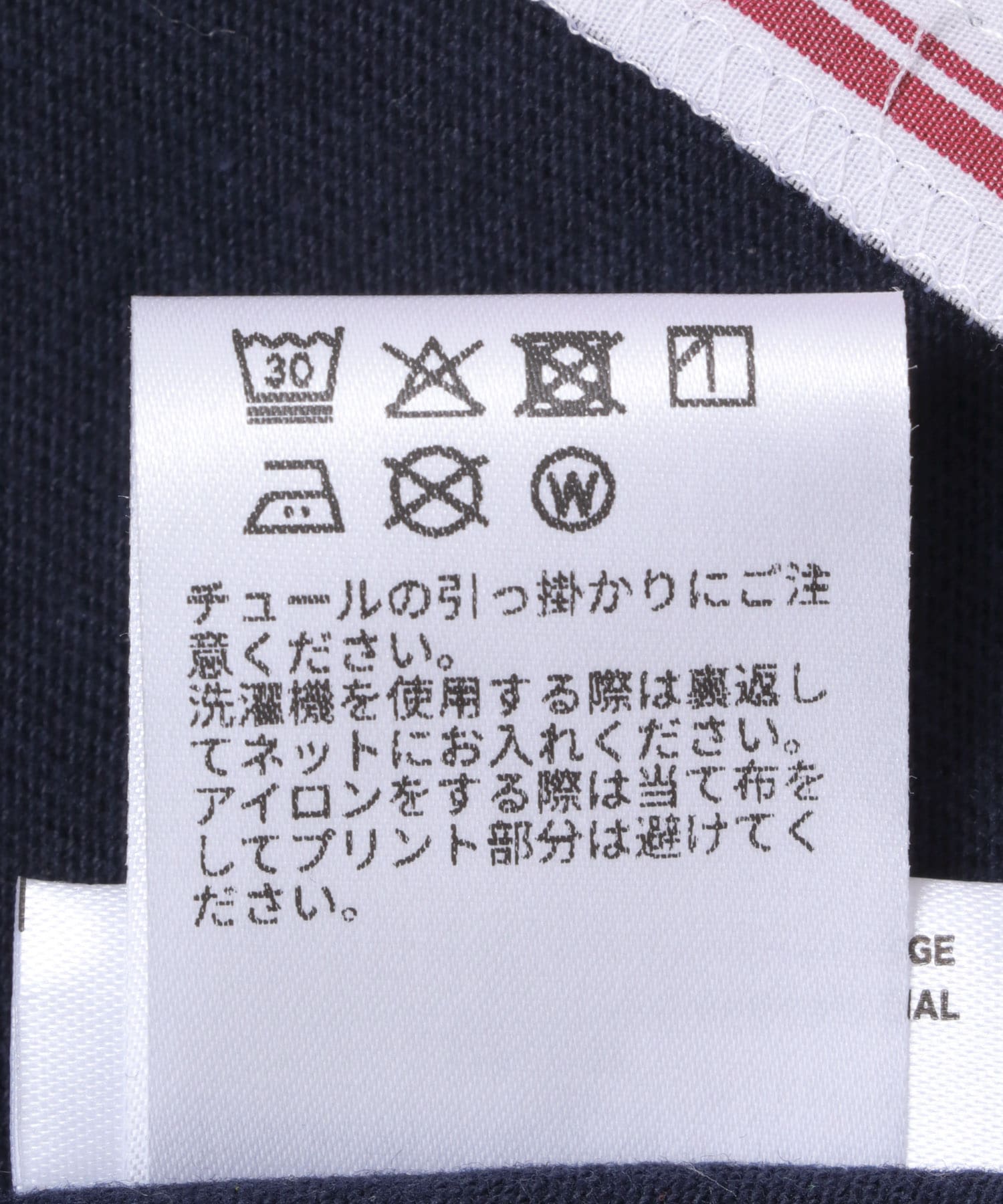 WHTXORG2