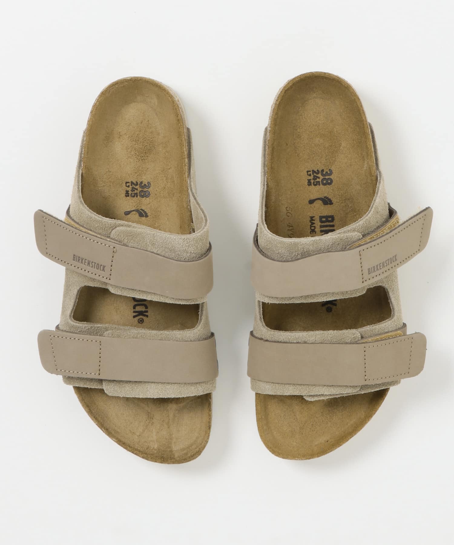 TAUPE