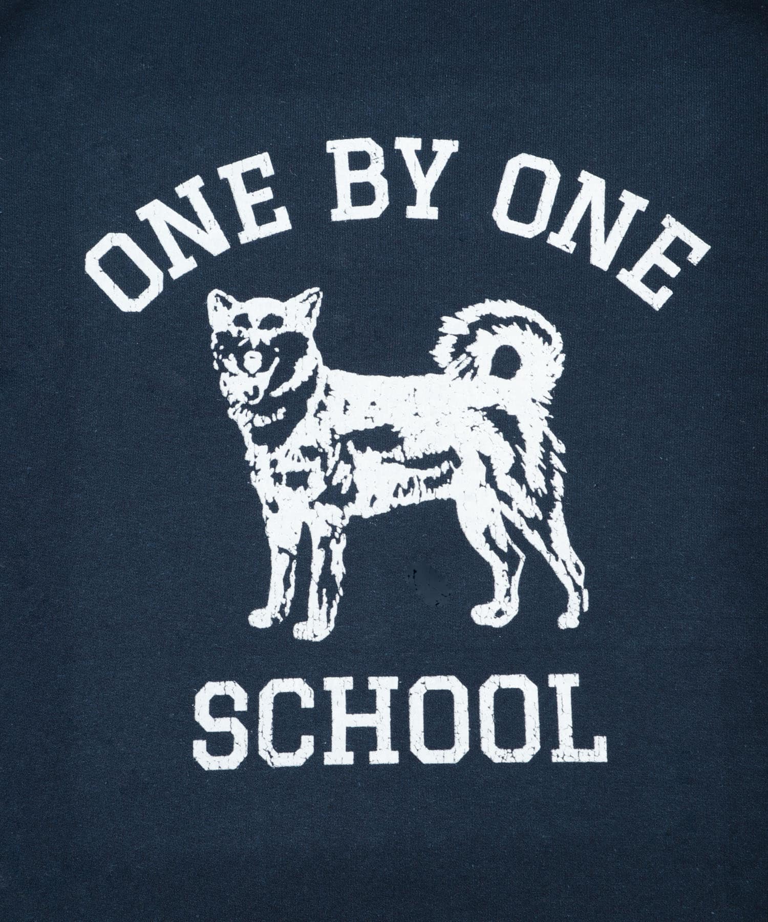 NAVY HUSKY