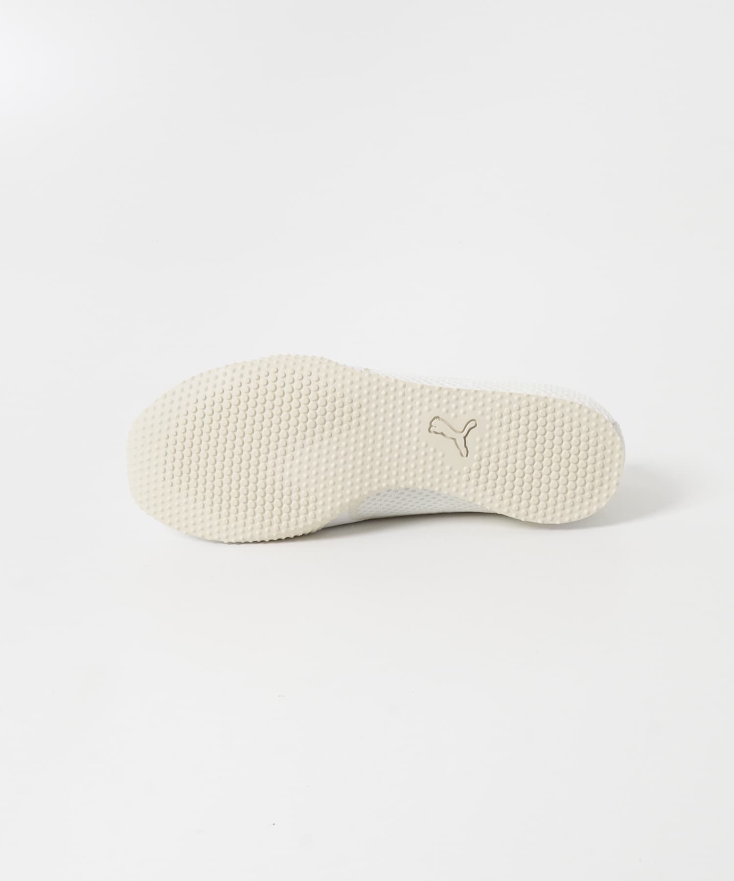 WARM WHT