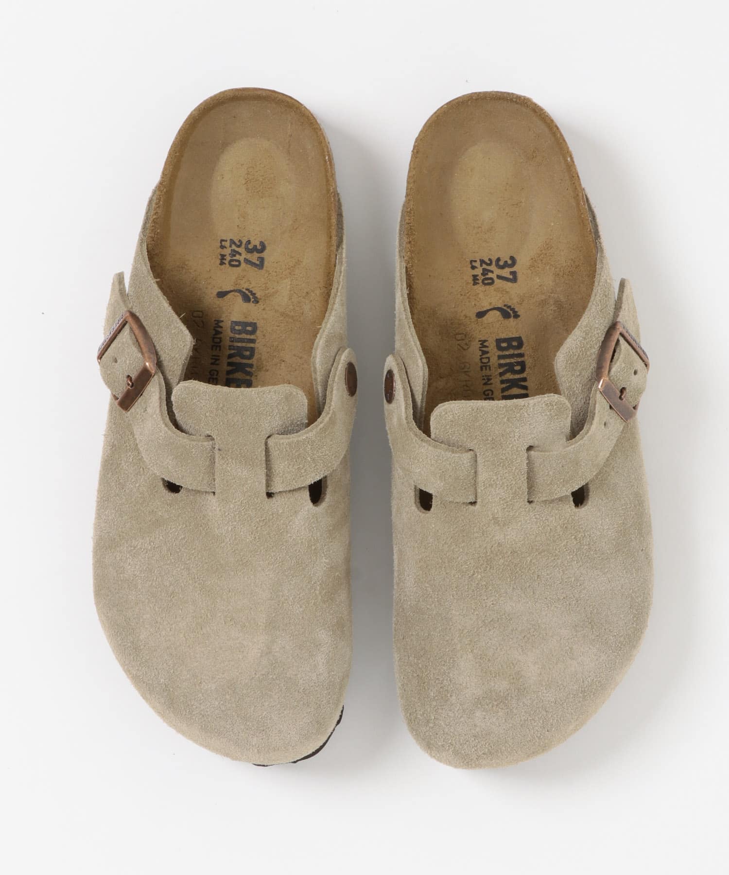 TAUPE