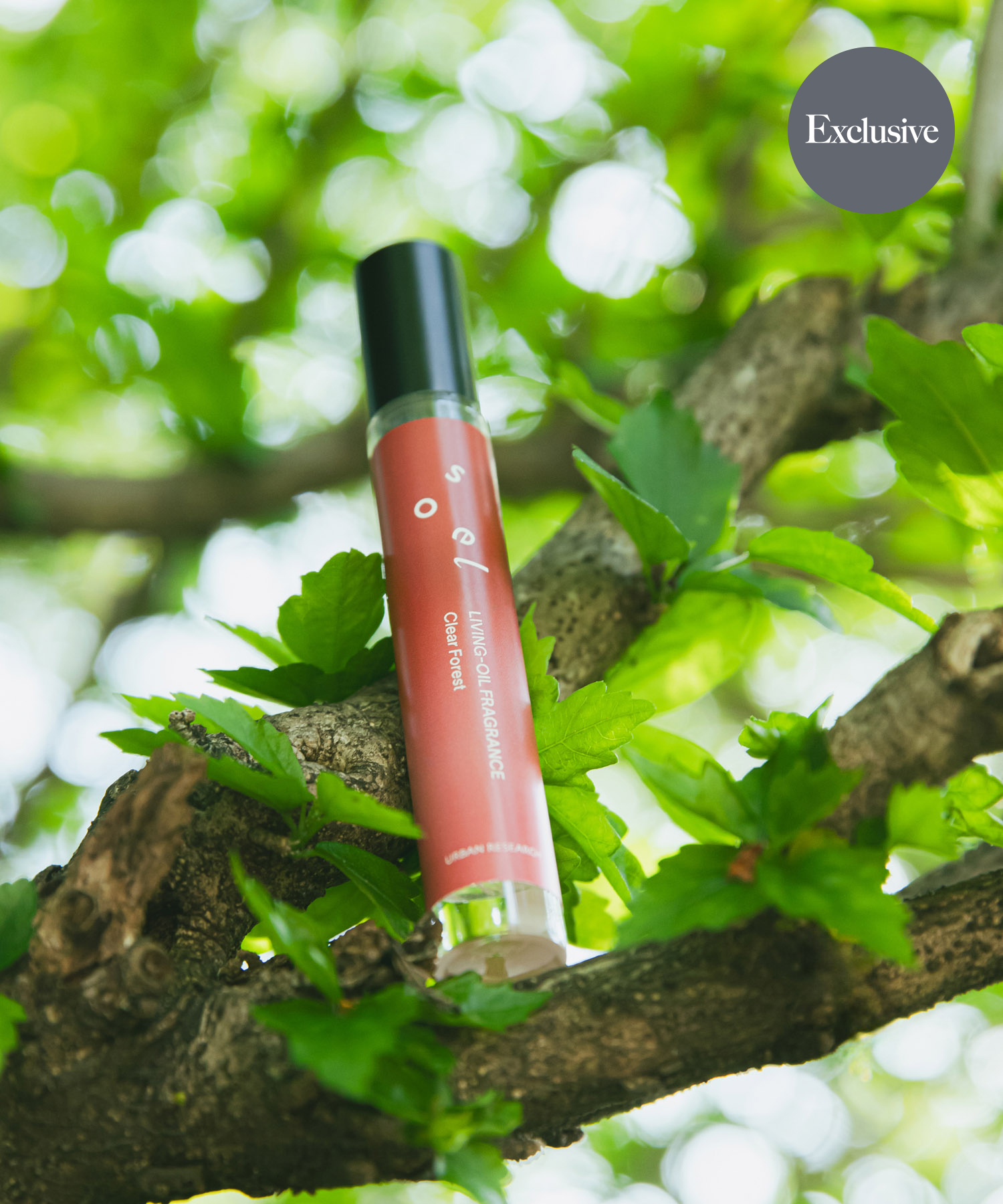 『別注』soel×URBAN RESEARCH　フレグランス26SS