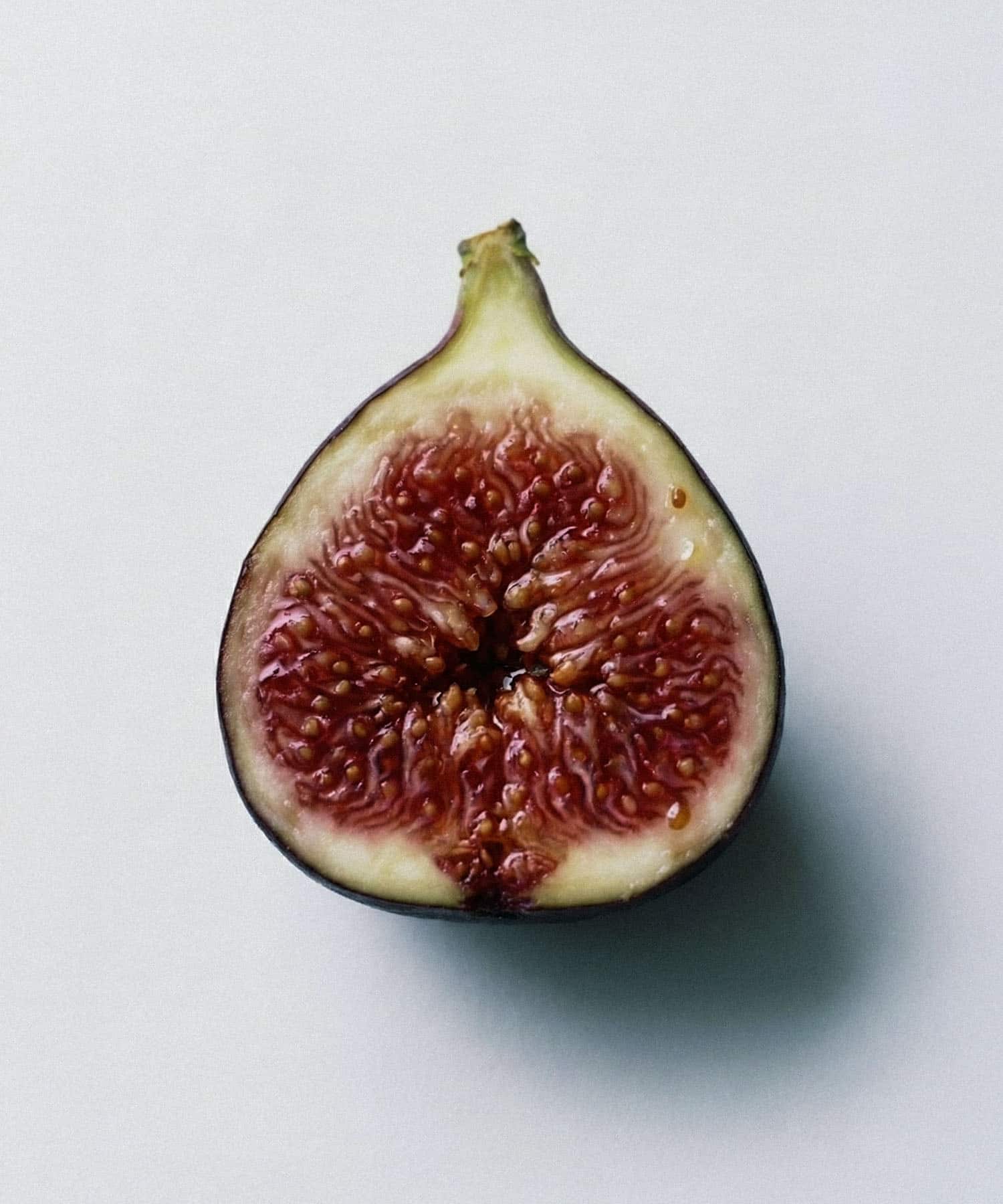 TOKYO FIG