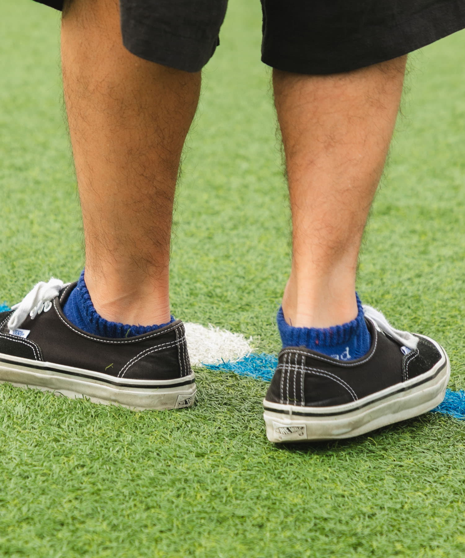 Wide Dad　WIDE DAD SHORT SOCKS BLUE Free