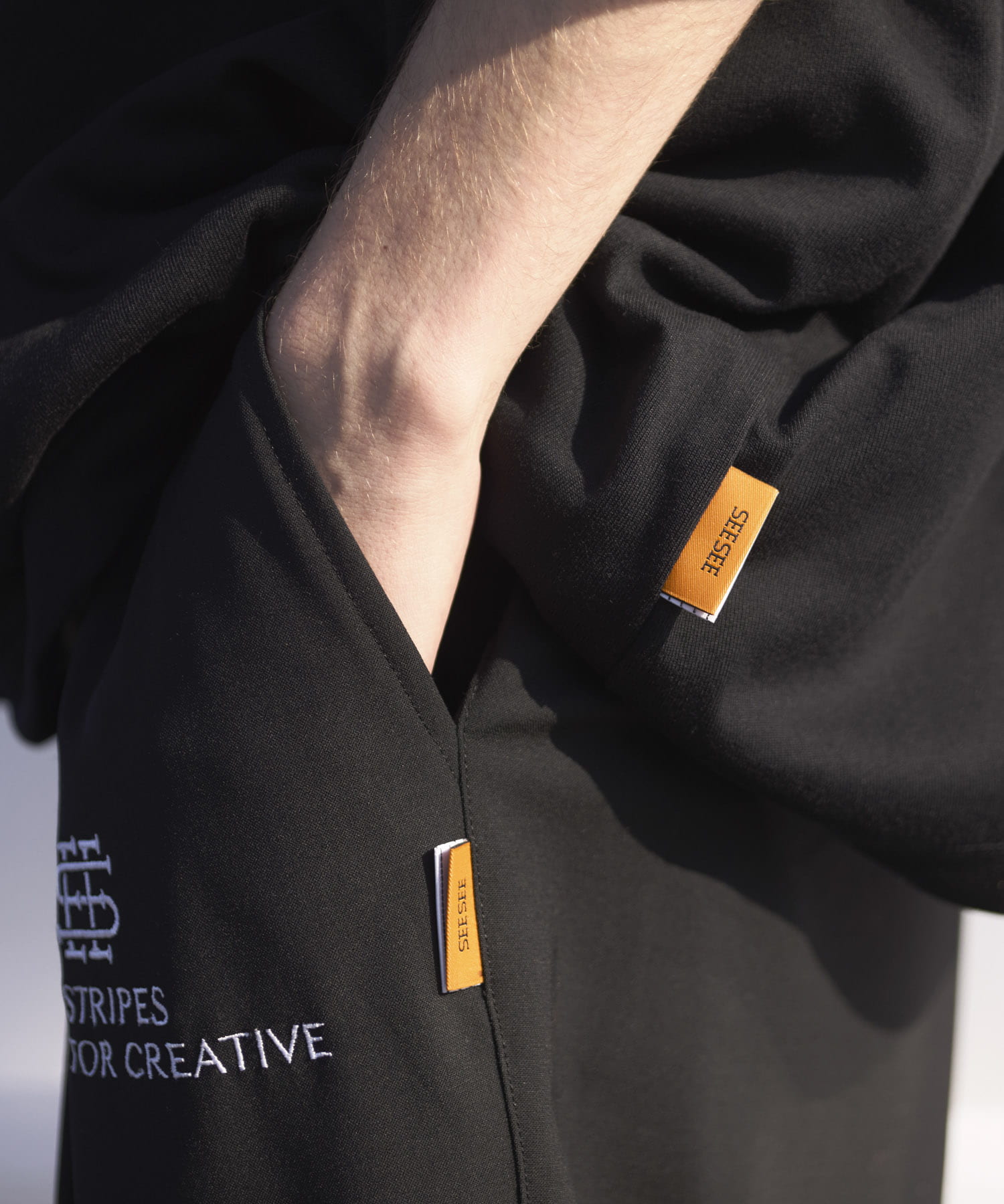 SEE SEE×S.F.C　TWO TUCK PANTS（WOOLTORO） BLACK M