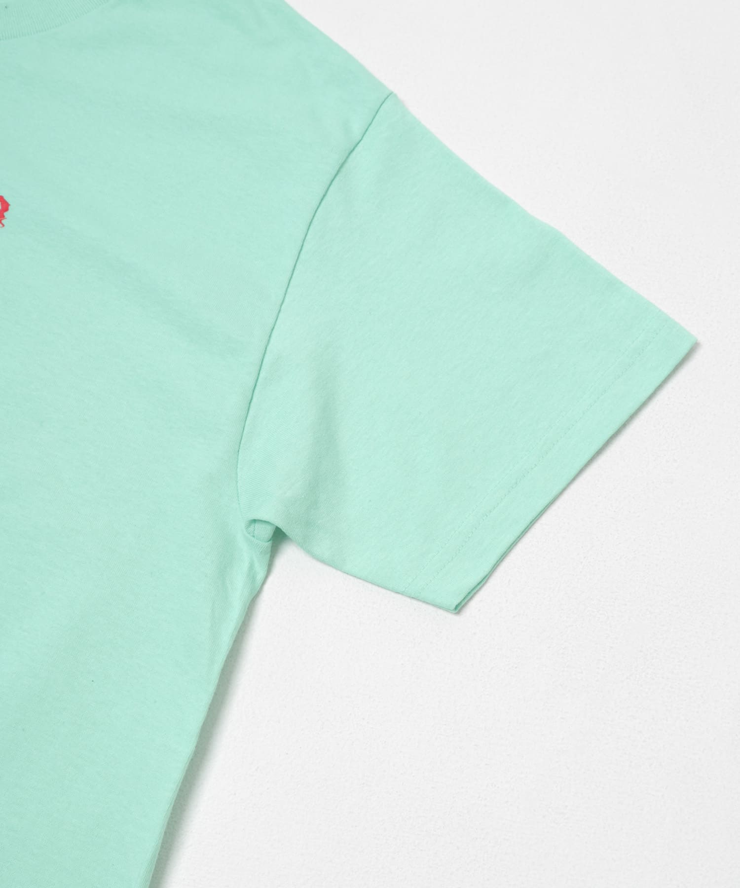 COGNOMEN　W.FANTASISTA TEE CELADON L