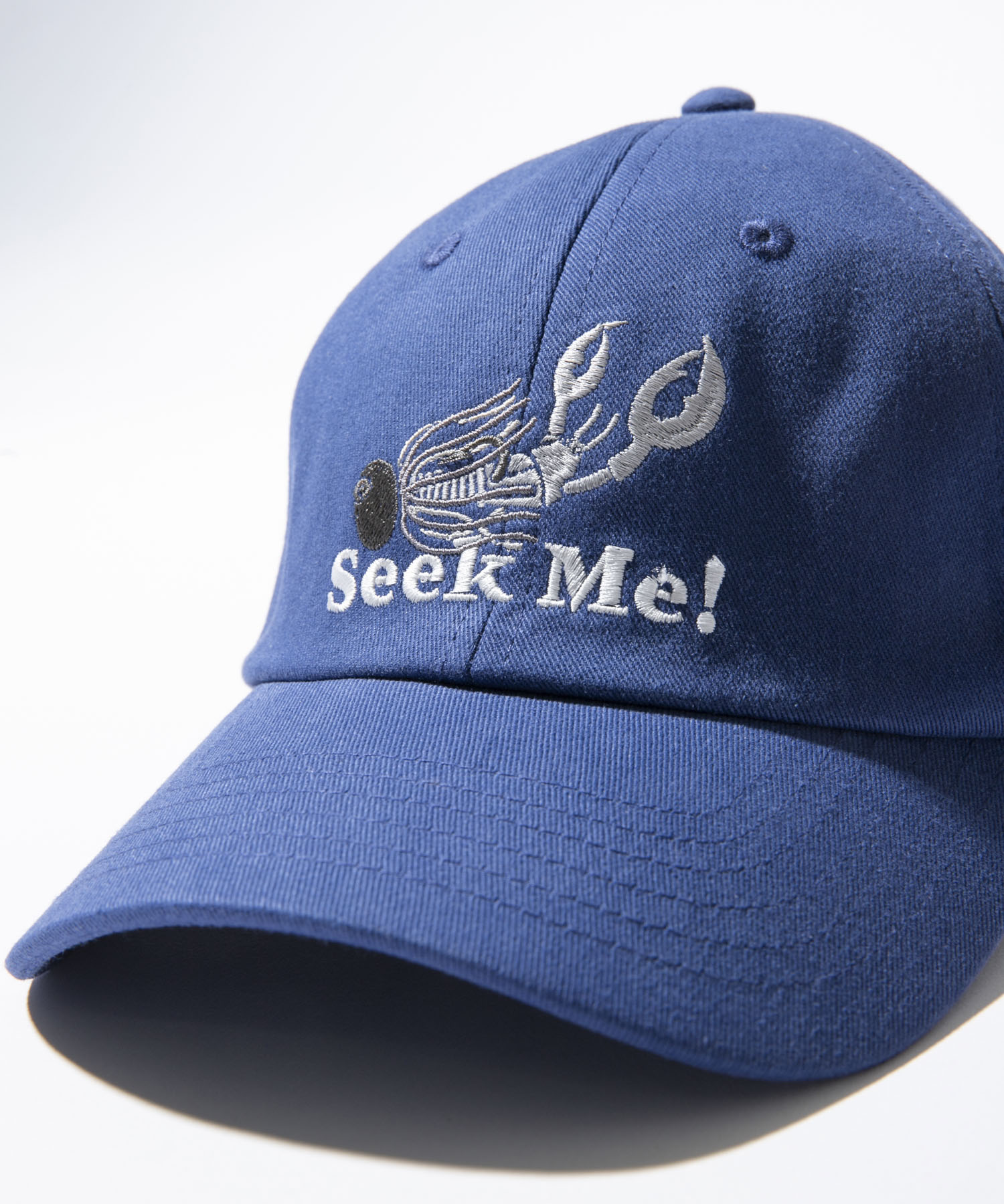 『別注』TASF×LAKE SEEKERS　SEEK ME! CAP NAVY Free