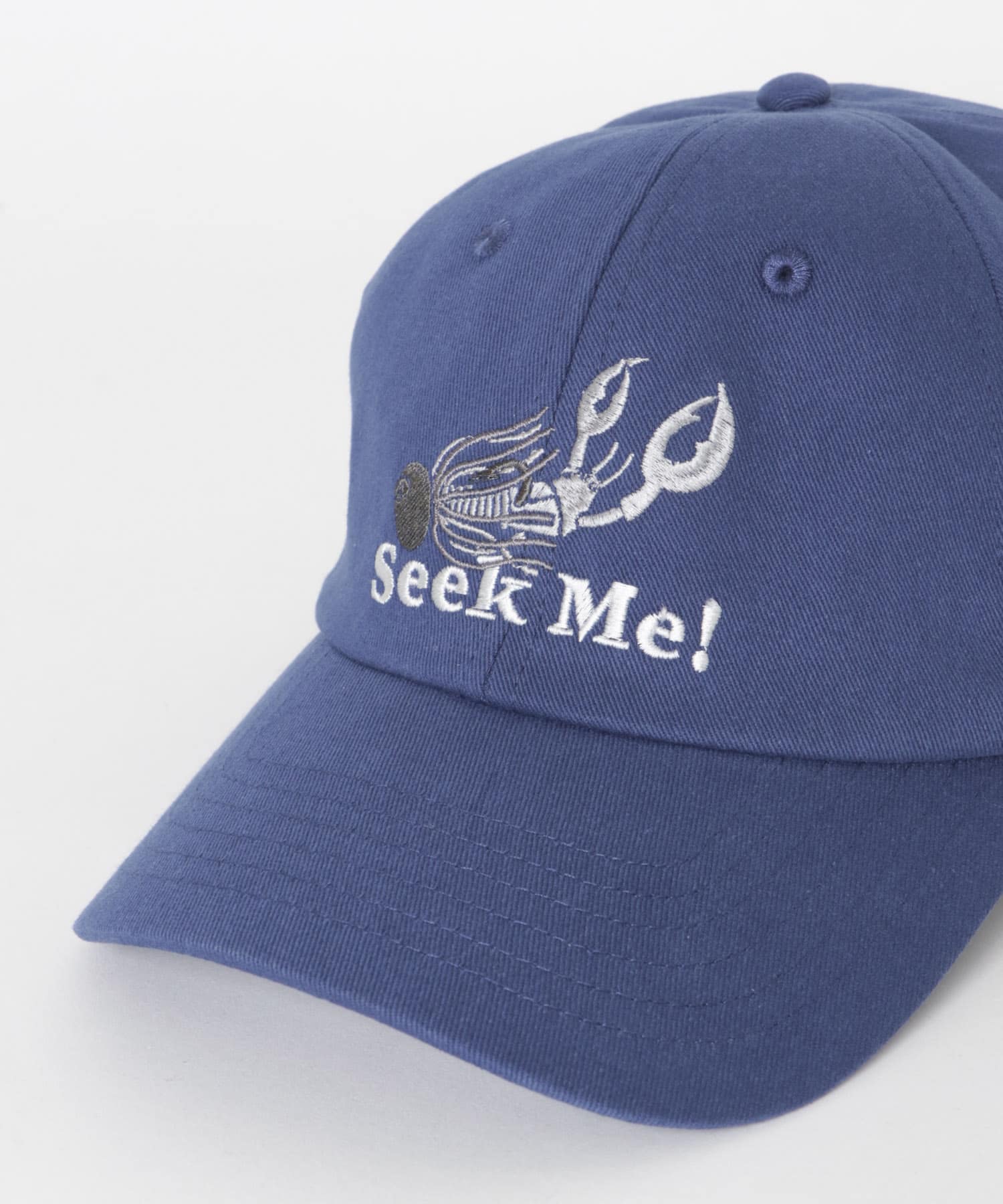 『別注』TASF×LAKE SEEKERS　SEEK ME! CAP NAVY Free