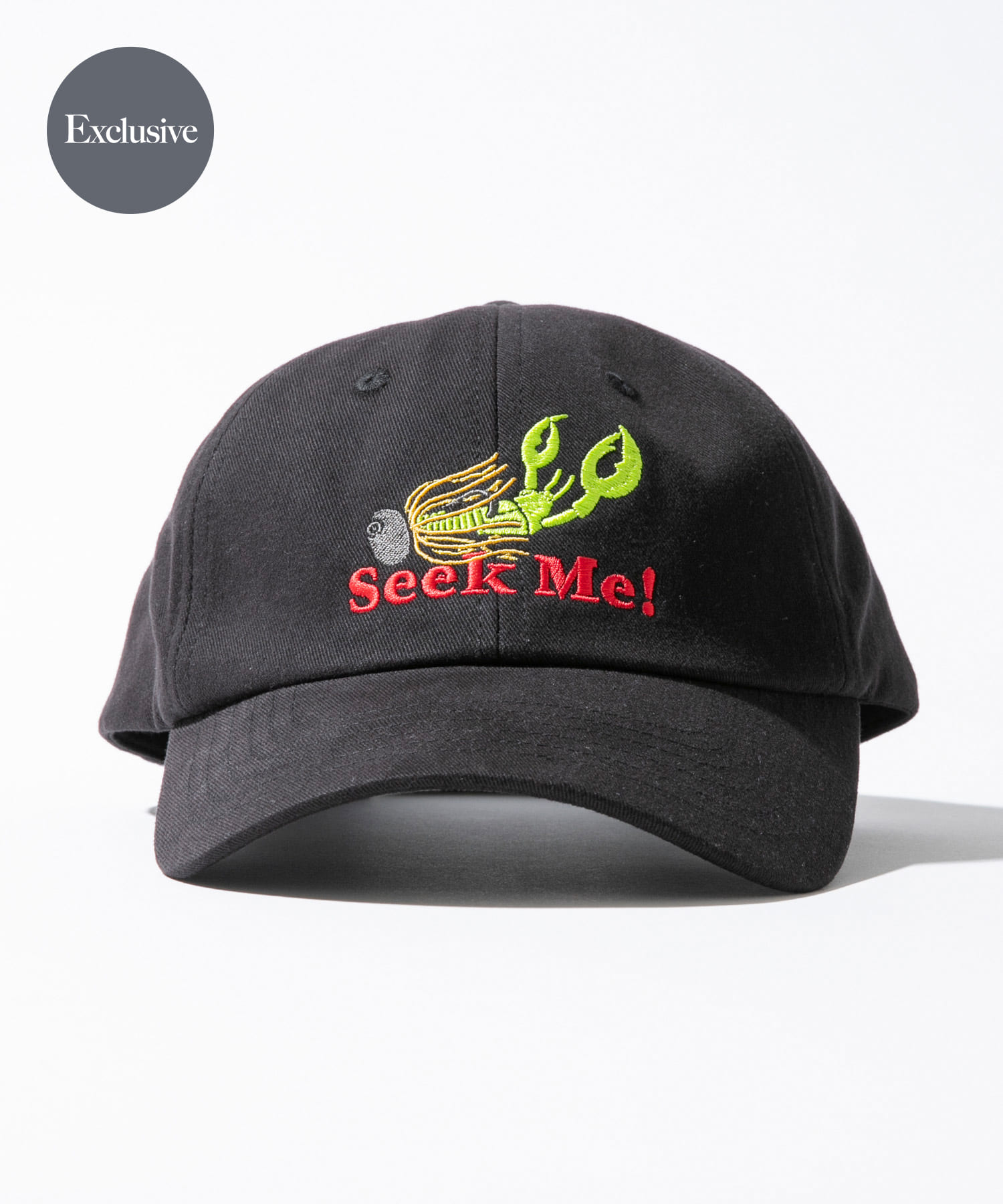 『別注』TASF×LAKE SEEKERS　SEEK ME! CAP
