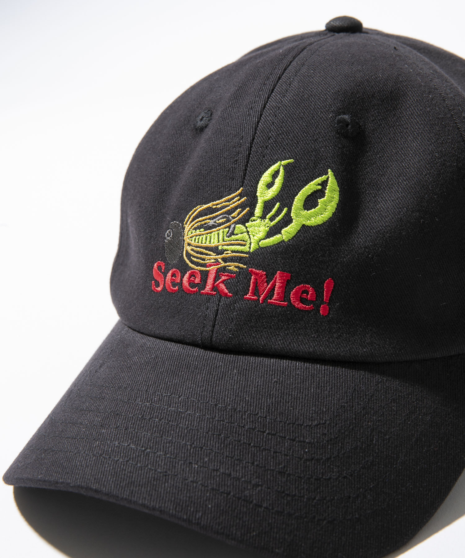 『別注』TASF×LAKE SEEKERS　SEEK ME! CAP BLACK Free