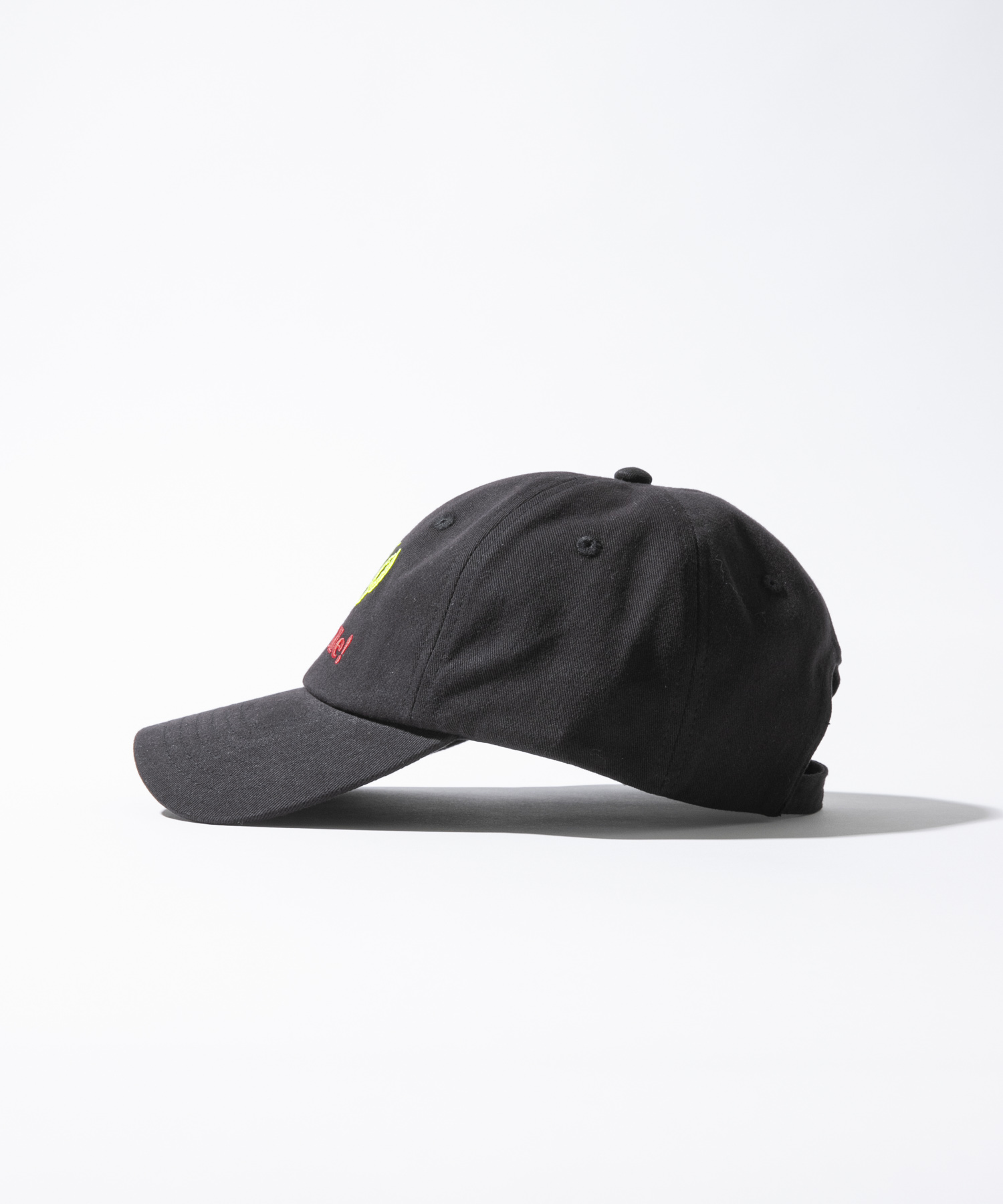 『別注』TASF×LAKE SEEKERS　SEEK ME! CAP BLACK Free