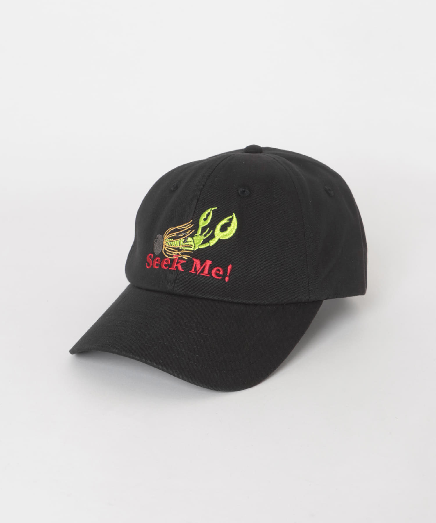 別注』TASF×LAKE SEEKERS SEEK ME! CAP(Free BLACK): 帽子｜URBAN