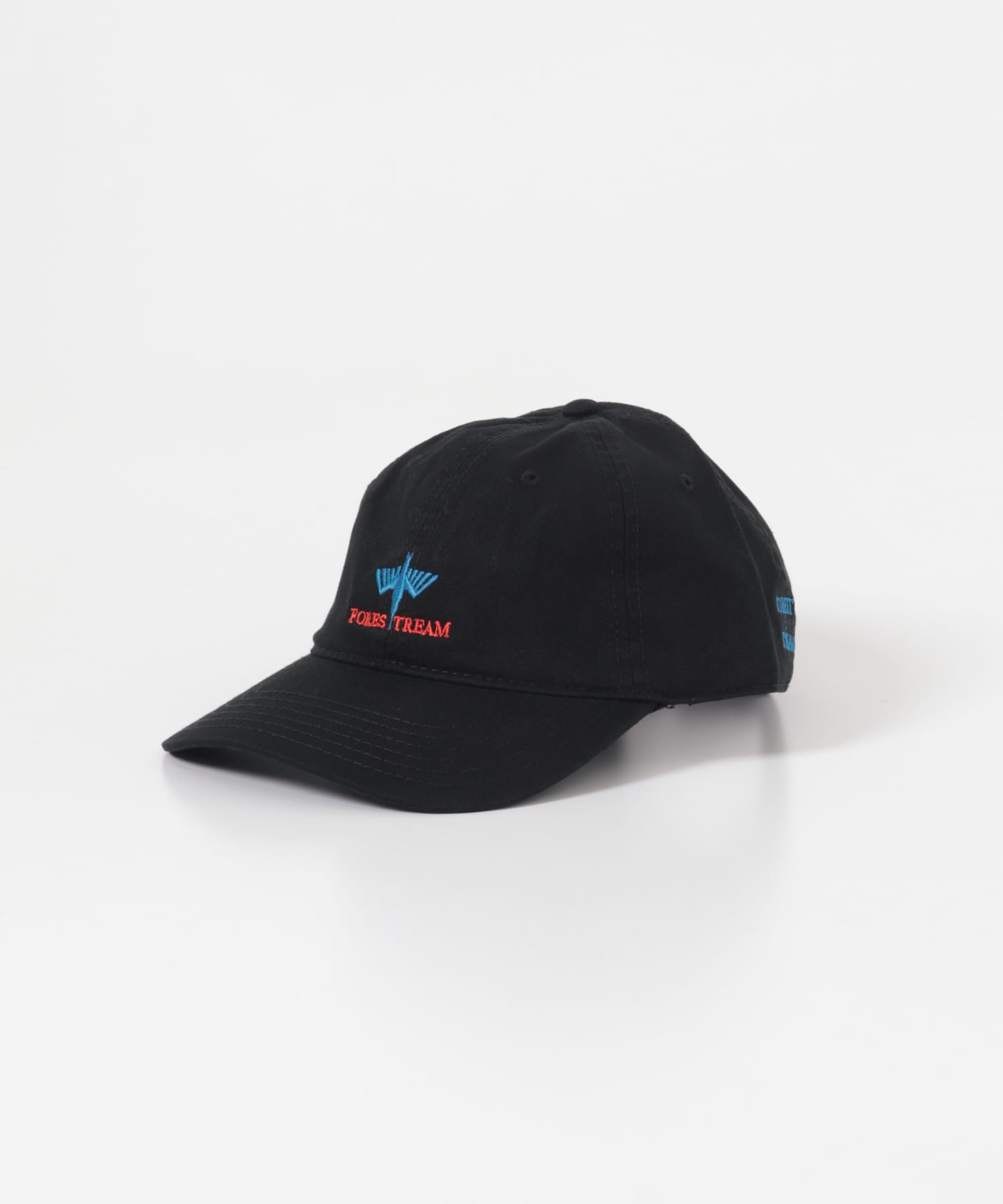 South2 West8　STRAP BACK CAP-FORESTREAM
