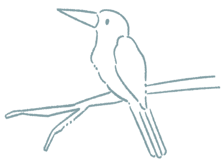 イラスト