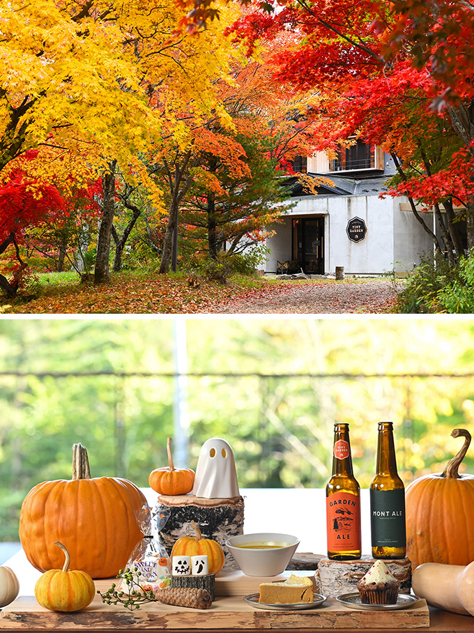 蓼科の紅葉シーズンとハロウィン体験！ TINY GARDEN 蓼科の秋イベント情報