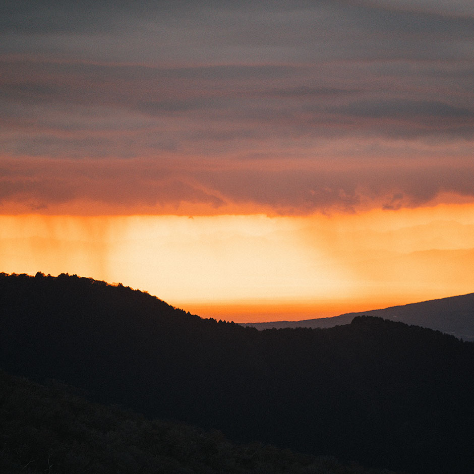 スタイリング画像
