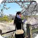 スタッフ名：みよし