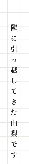 セリフ